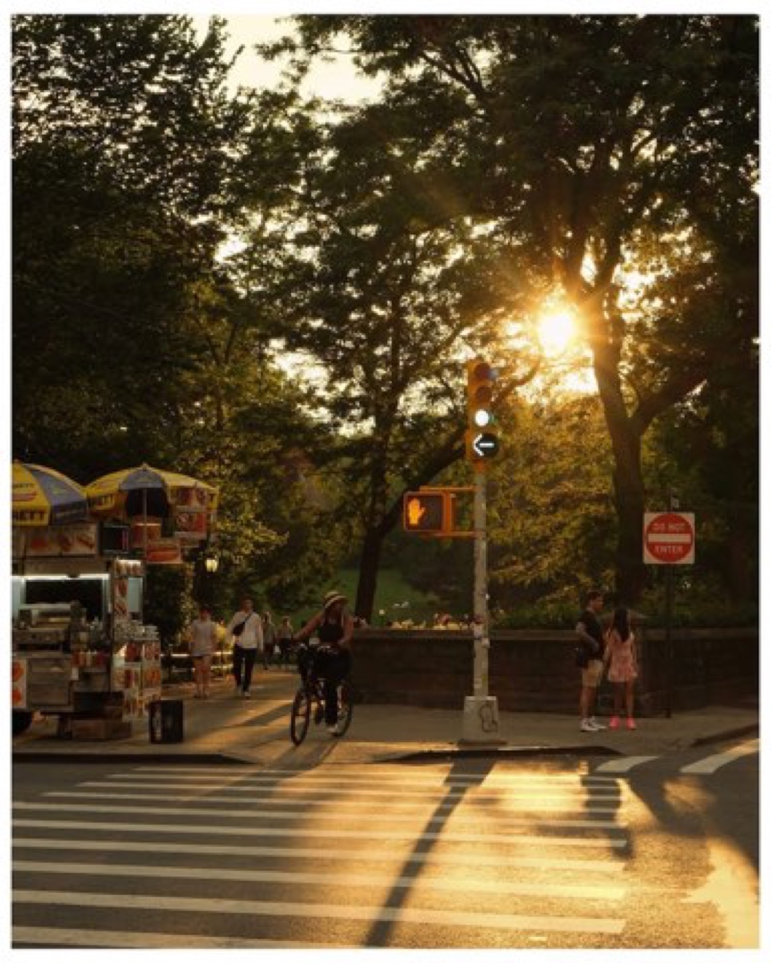 From Screen to Paper: Printing Your Developed Film