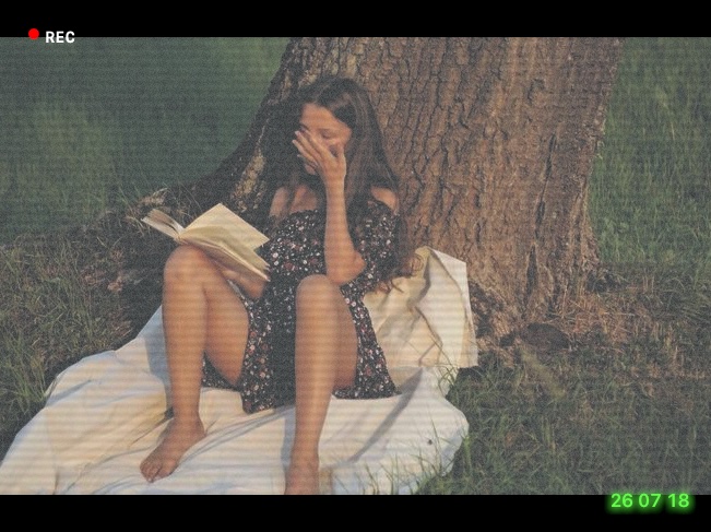 Camcorder sample