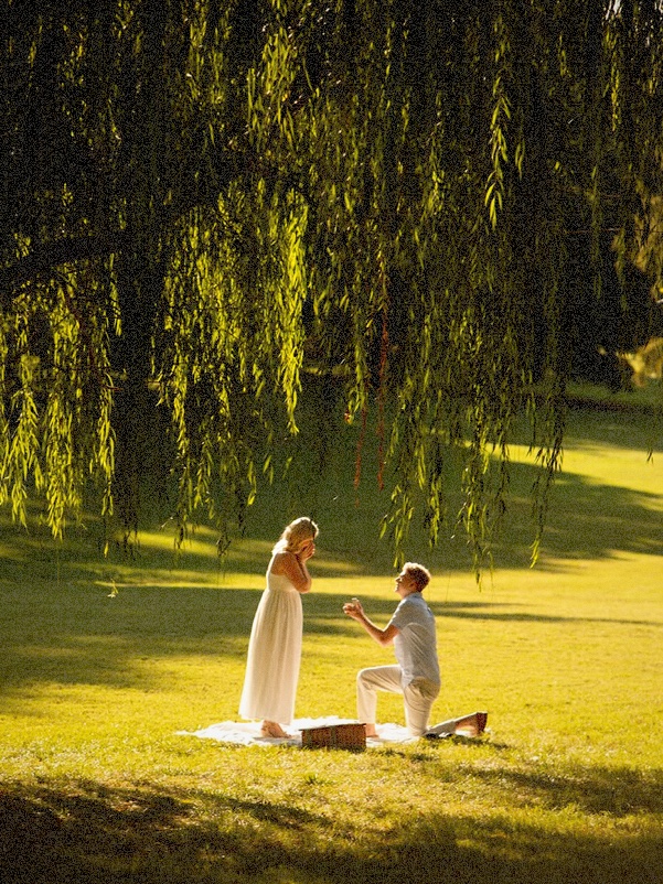 DZ Film sample