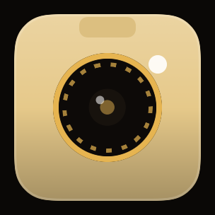 Sunbleached camera