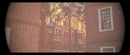 Kino graded sample