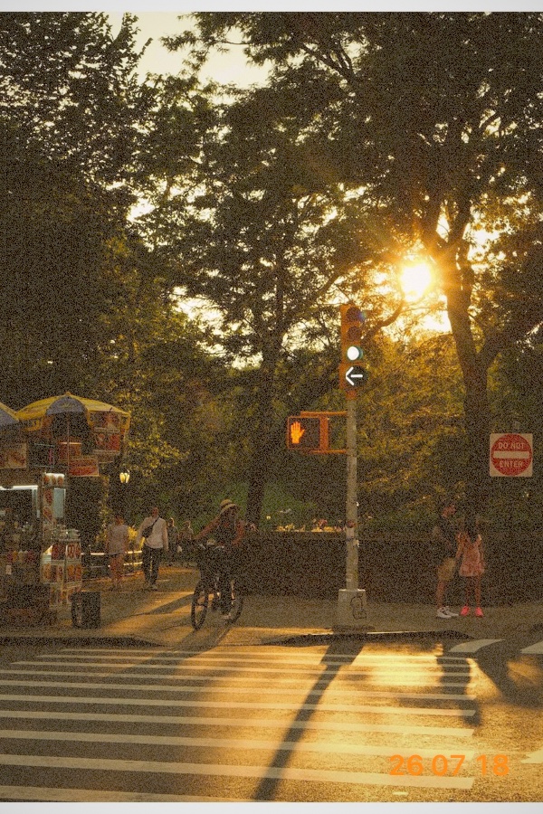 Original graded sample